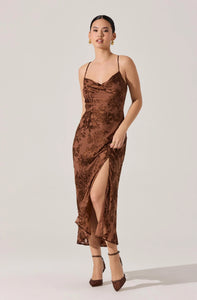 Gaia Dress in Burnout Floral