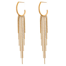 Load image into Gallery viewer, Billie Tassel Earrings
