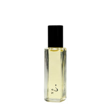 Load image into Gallery viewer, Riddle Perfume Oils