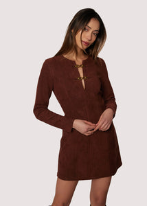 Enchantment Mini Dress