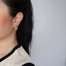 Load image into Gallery viewer, Pearl Conch Shell Earrings
