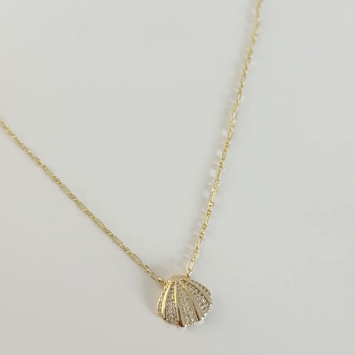Seashell Necklace