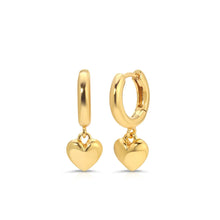 Load image into Gallery viewer, Lovebird Earrings