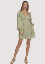 Load image into Gallery viewer, Green Wild Poppies Mini Dress