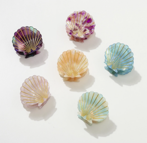 Small Seashell Claw Clip